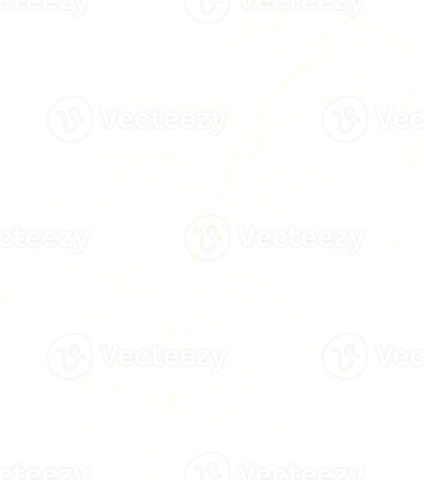 a drawing of a plant on a transparent background png