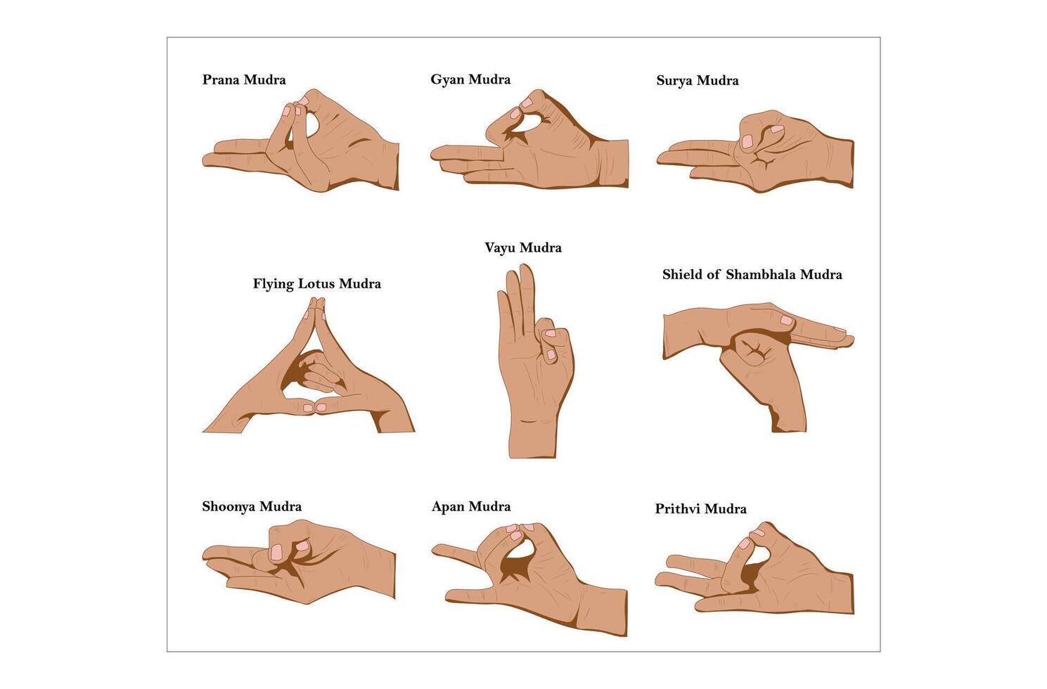 Daily Hand Mudra's vector