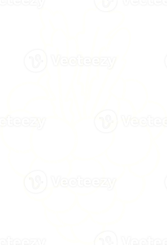 a white outline of a fruit on a transparent background png
