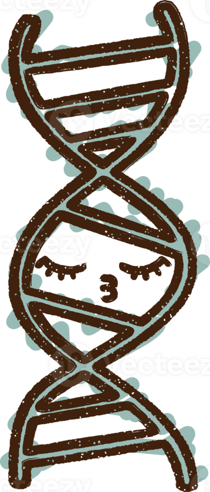 a dna strand with a face drawn on it png