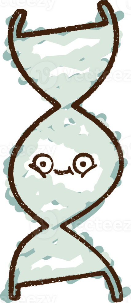 a cartoon dna strand with a smile face png