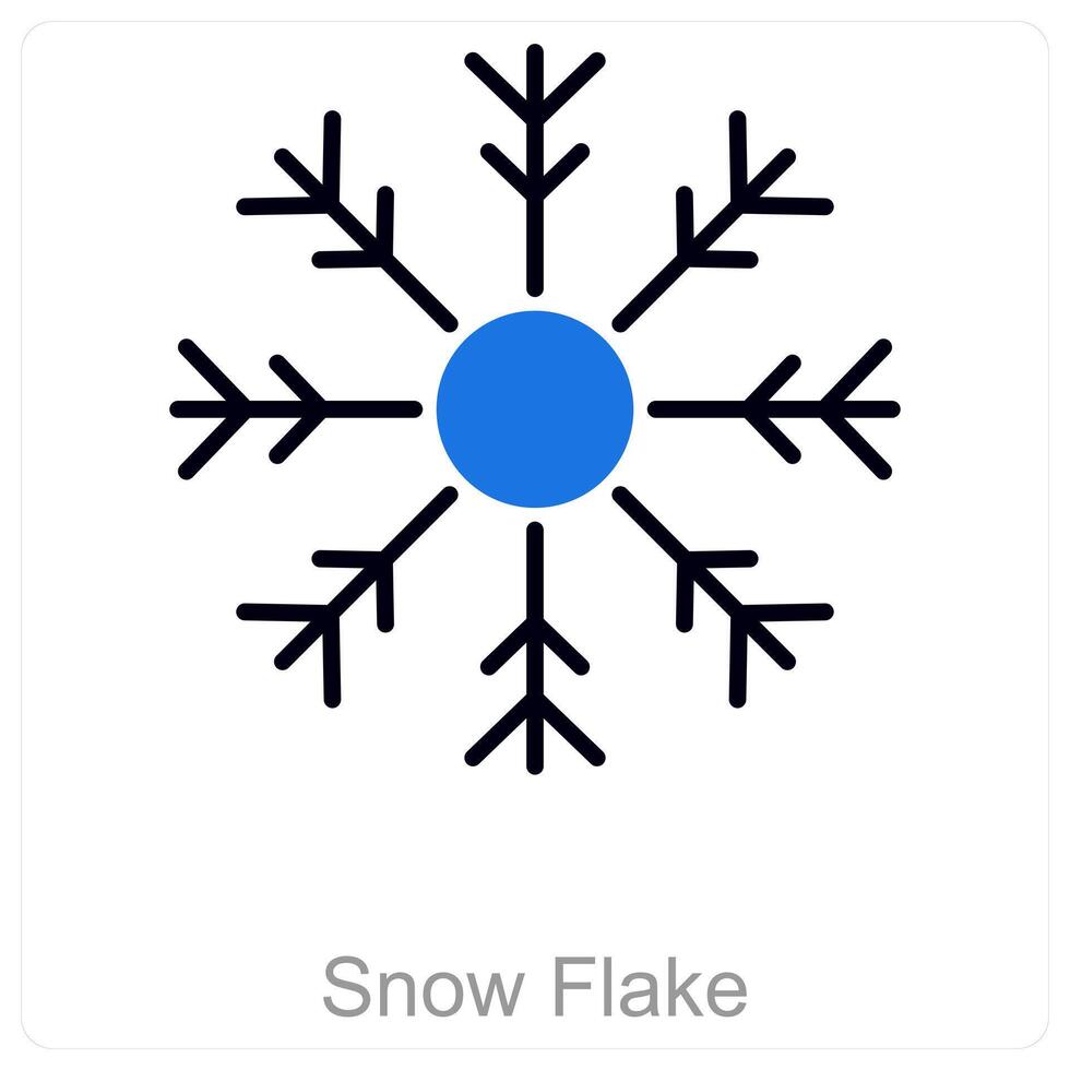 Snow Flake and ice icon concept vector