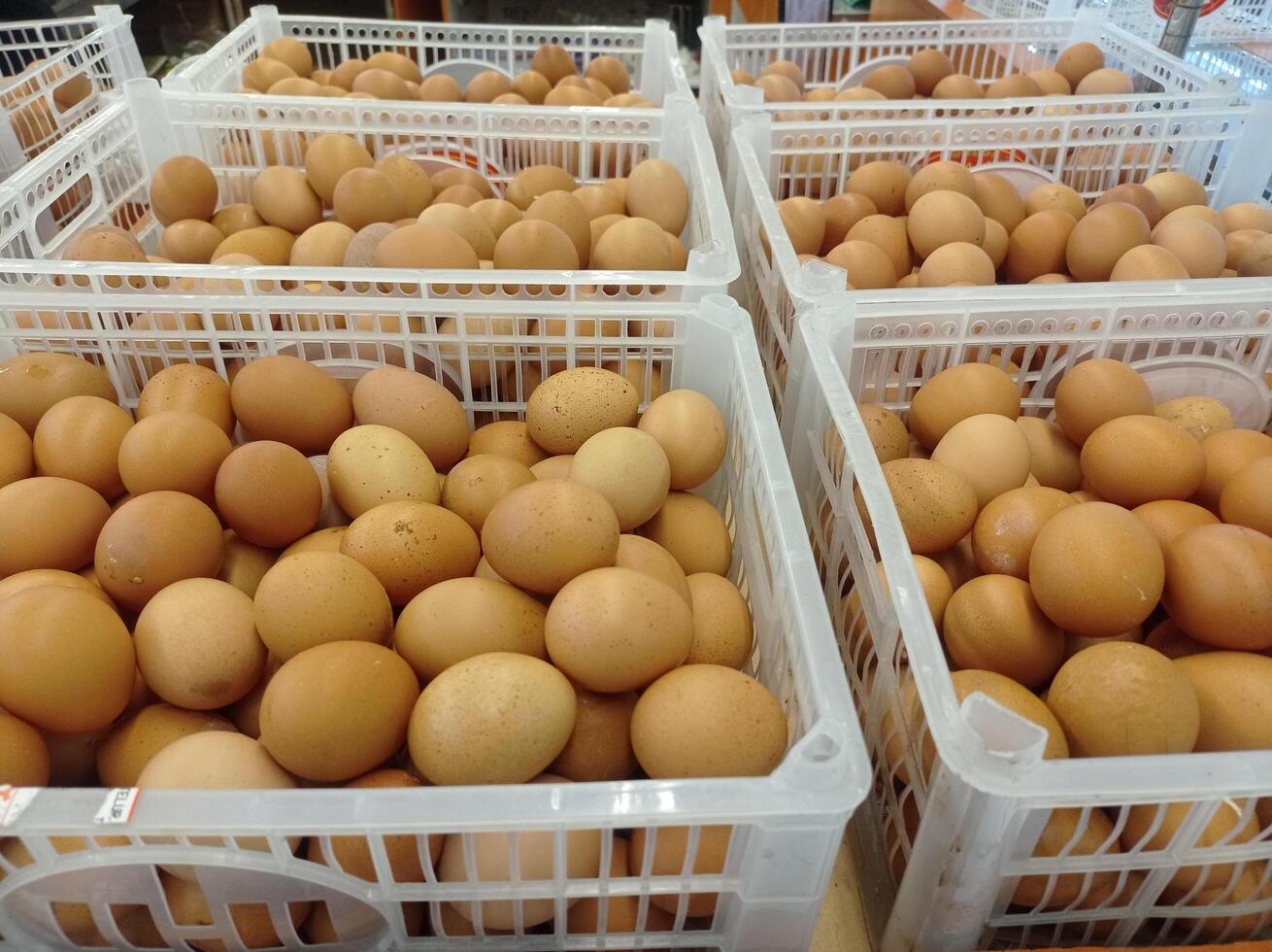 chicken eggs in a minimarket basket photo