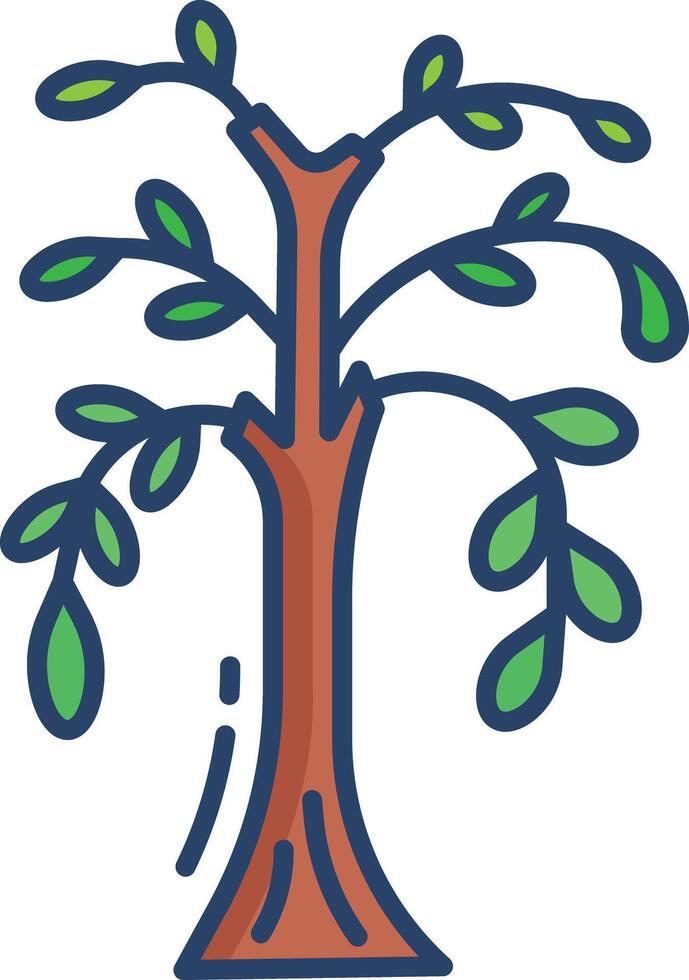 eastern cottonwood linear color illustration vector