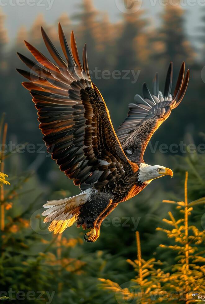 A large eagle is flying through a forest with the sun shining on it. Concept of freedom and power, as the eagle soars through the trees with its wings spread wide photo