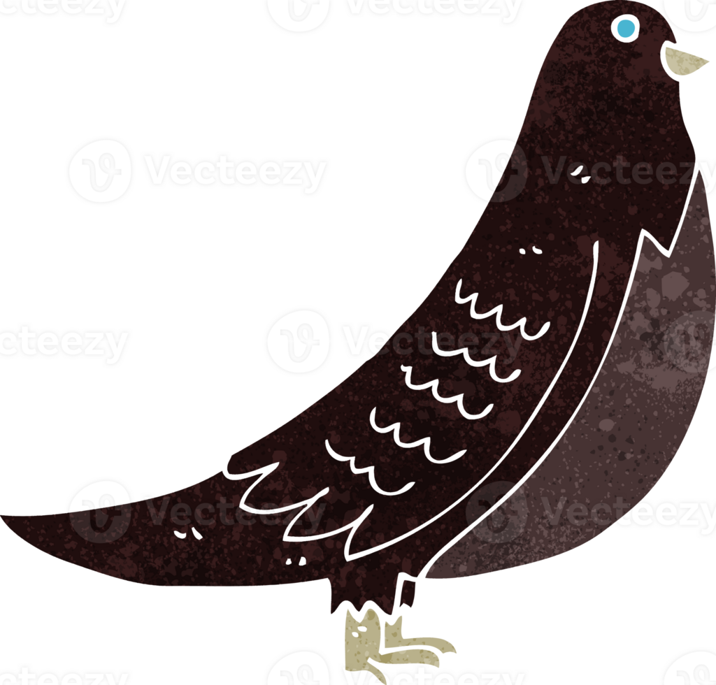cartoon bird drawing png
