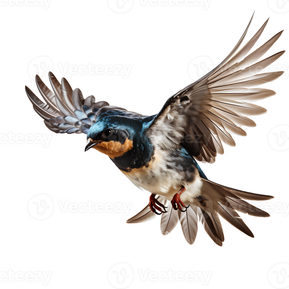 schluckt Vogel . Martin Vogel . Sägeflügel Vogel isoliert. schluckt Vogel fliegend mit Flügel Verbreitung png