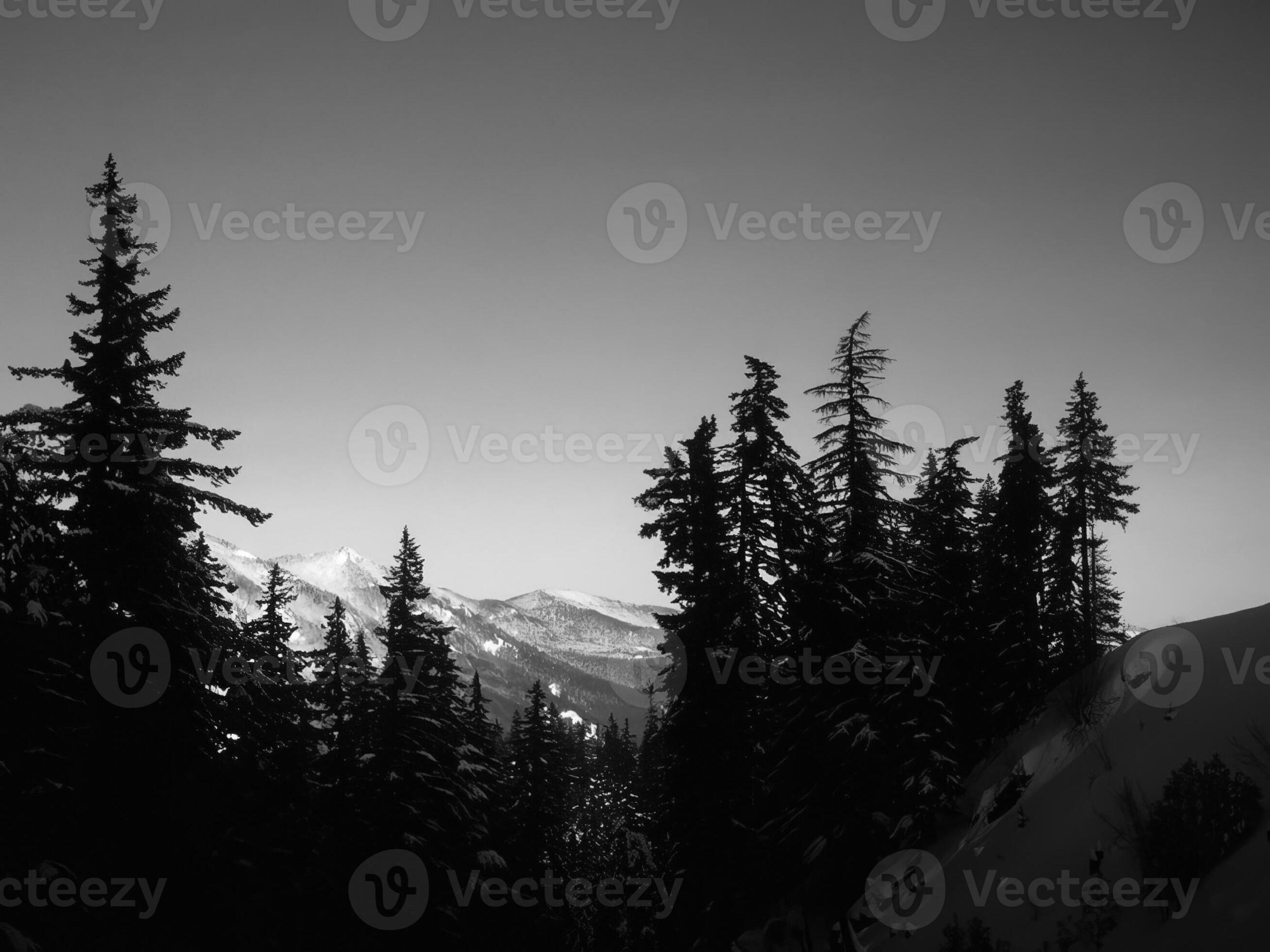 Landscape background. Black and white photo of beautiful nature