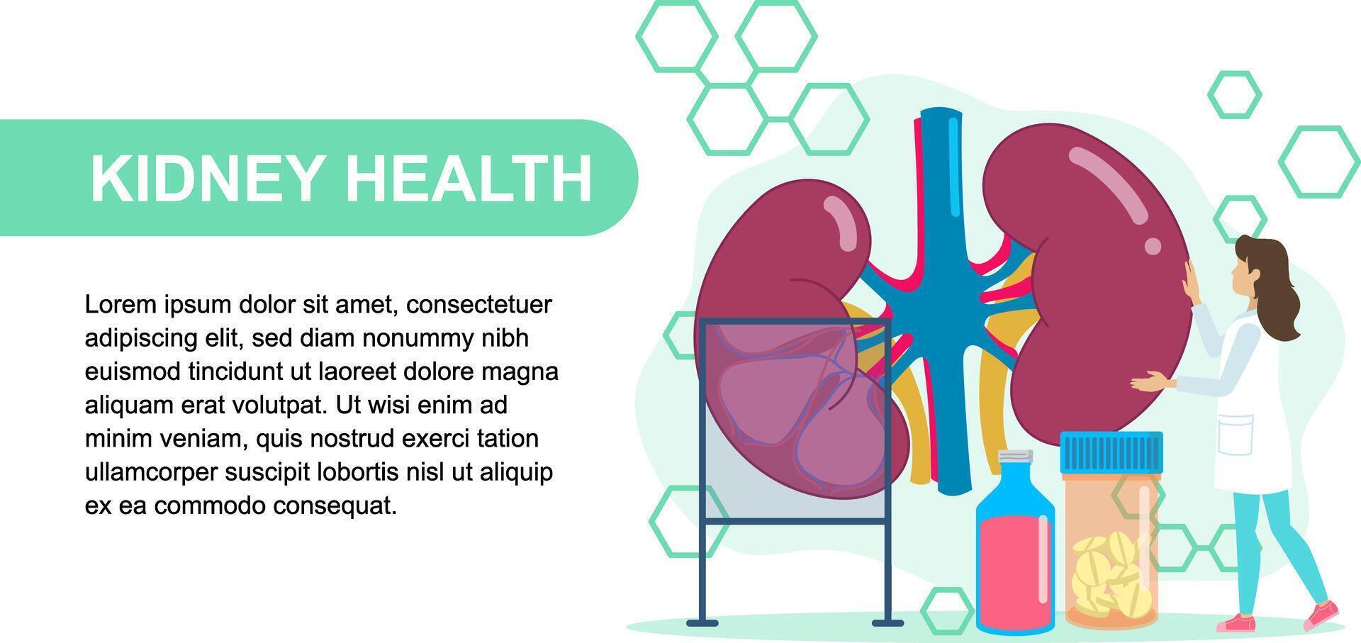 Nephrologist Examining Kidney Health with Medical Tools and Medications vector