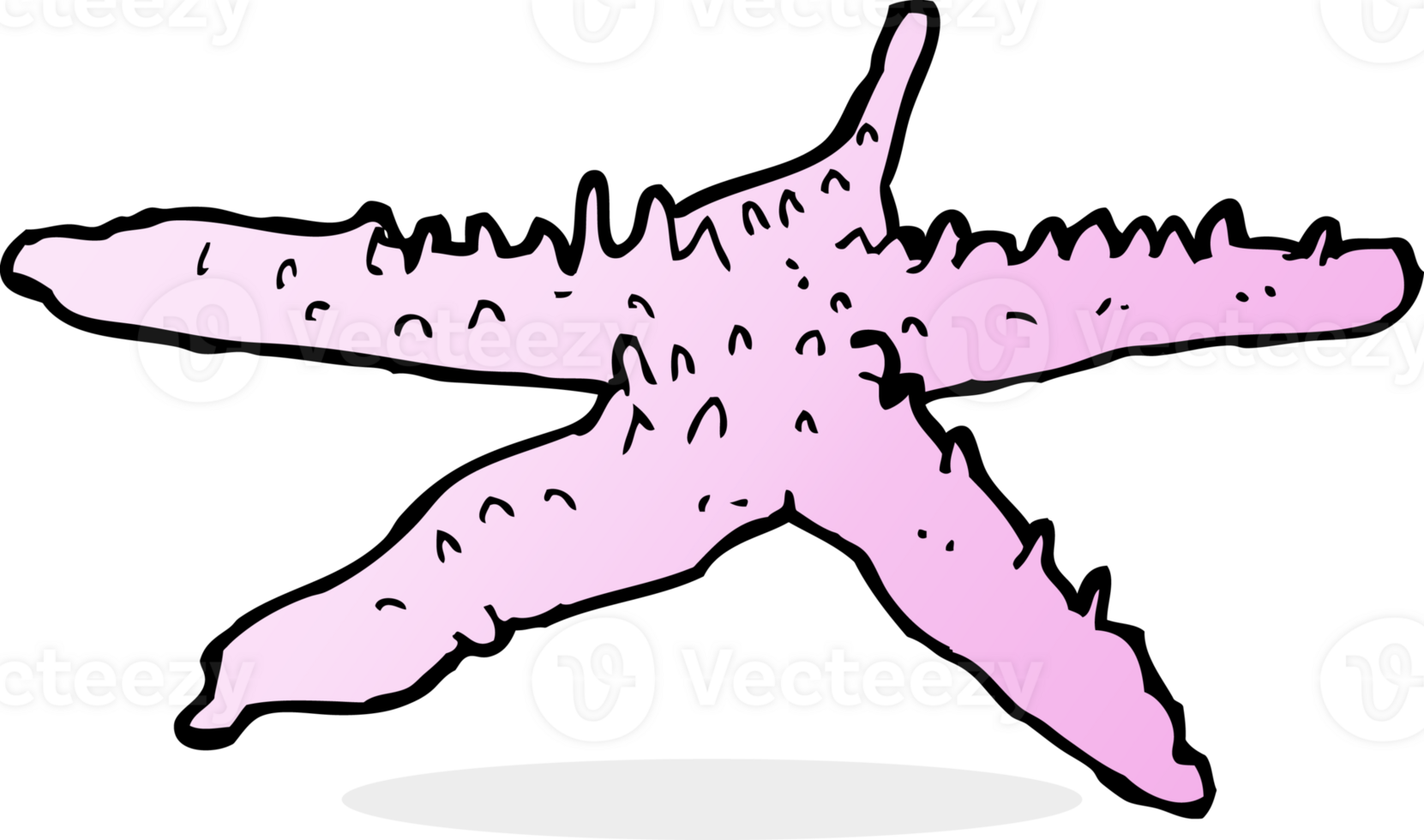 cartoon starfish drawing png