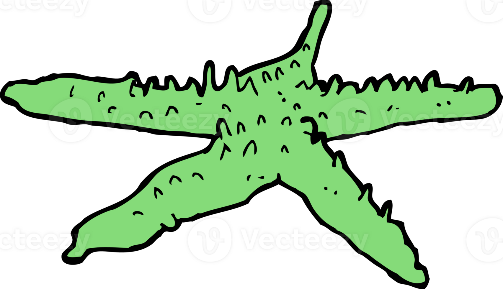 cartoon starfish drawing png
