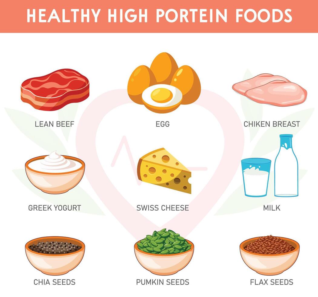 Power Up The Benefits and Sources of High-Protein Foods vector