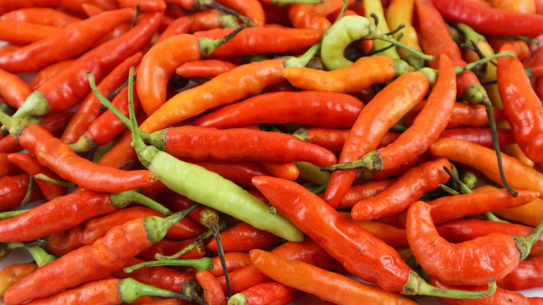 Red hot chilli peppers pattern texture background. Close up. Landscape. backdrop Red chilli peppers. photo