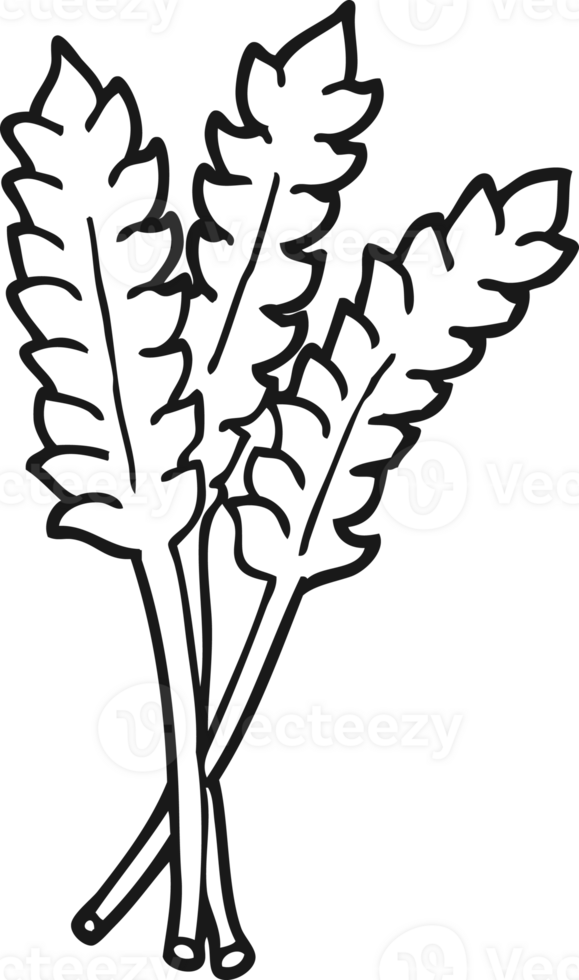 tecknad serie vete teckning png
