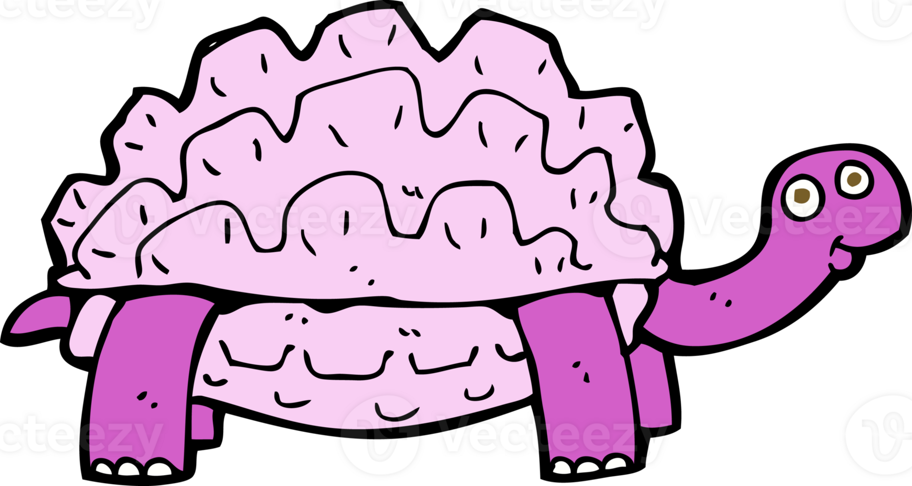 cartoon tortoise drawing png
