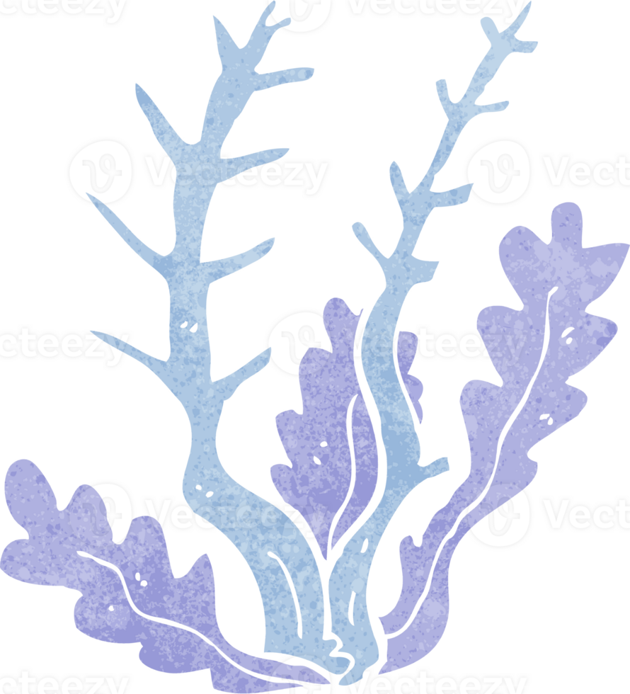 cartoon seaweed drawing png