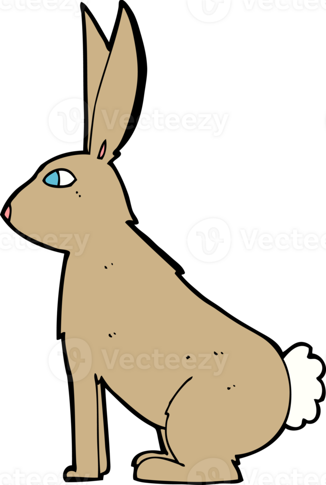 cartoon rabbit drawing png
