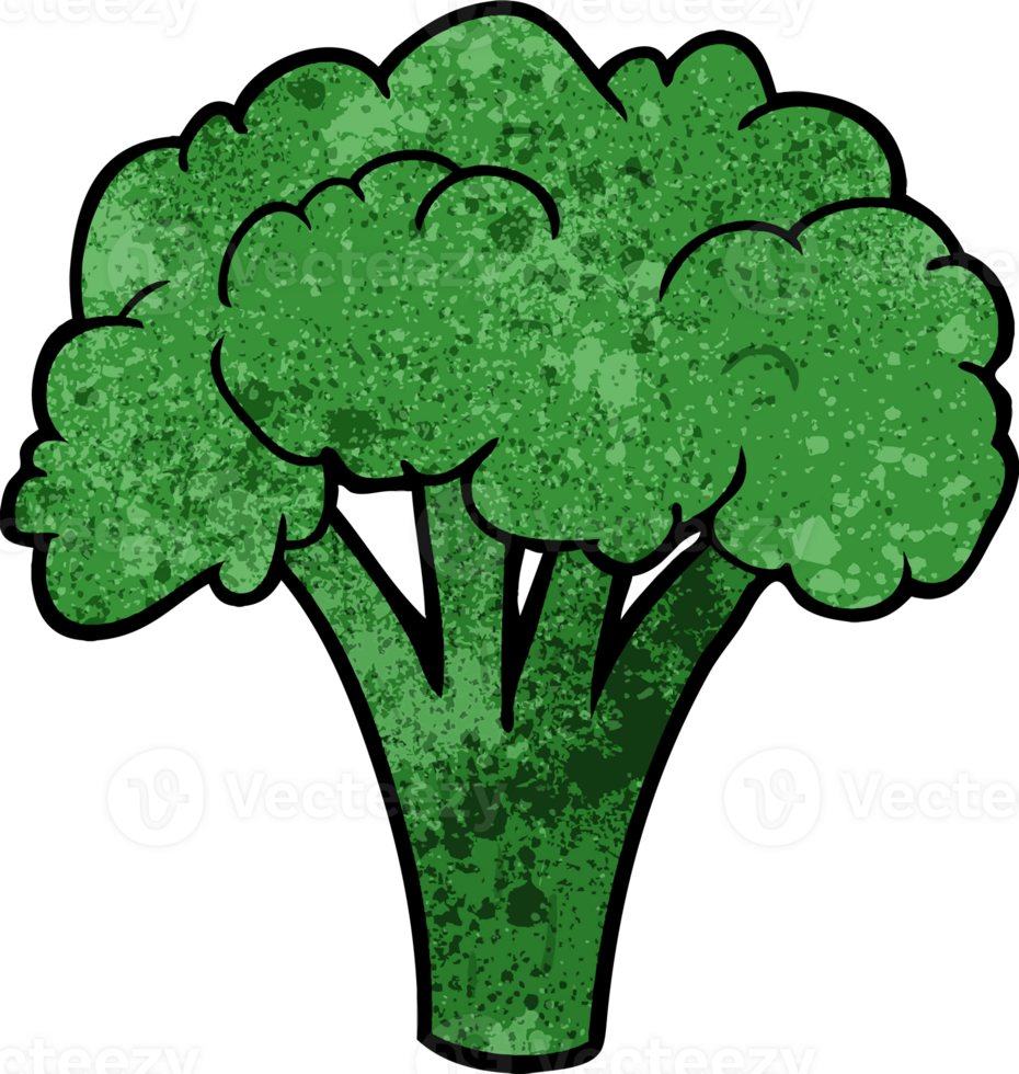 cartoon brocoli drawing png