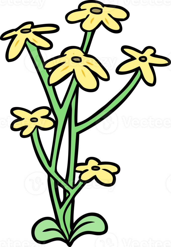 cartoon flower drawing png