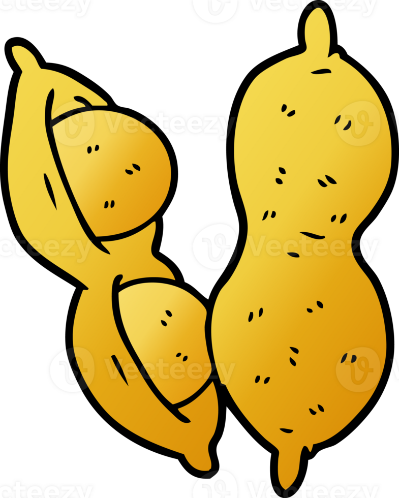 cartoon peanuts drawing png