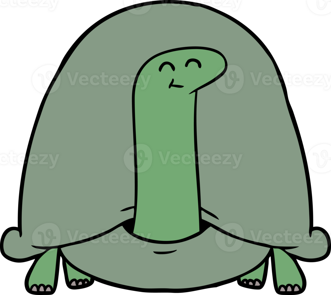 cartoon tortoise drawing png
