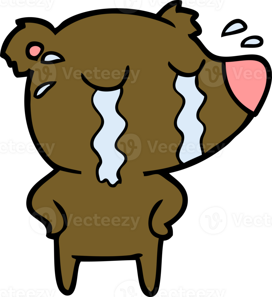 crying bear cartoon chraracter drawing png