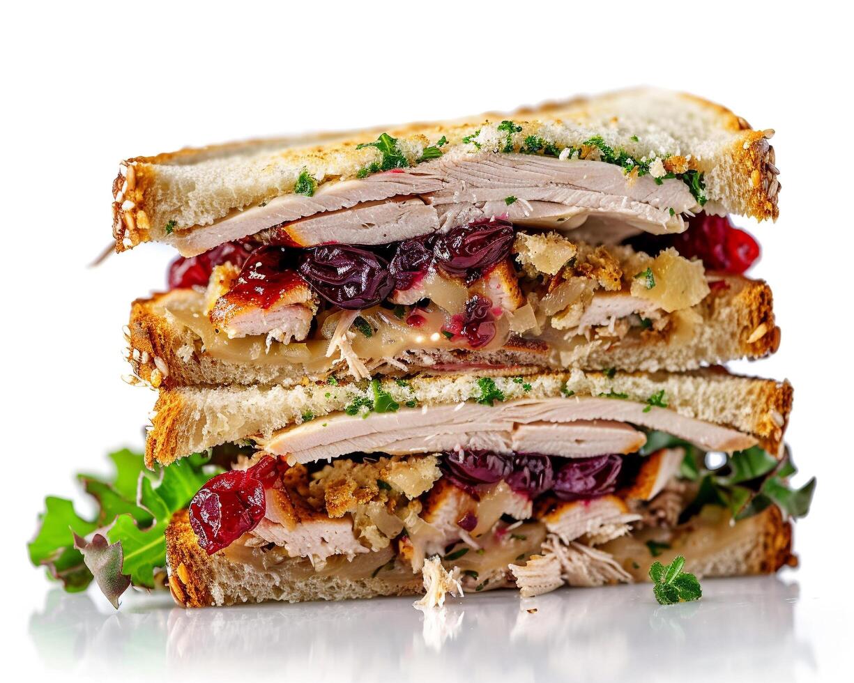 a turkey sandwich with cranberry sauce and herbs photo