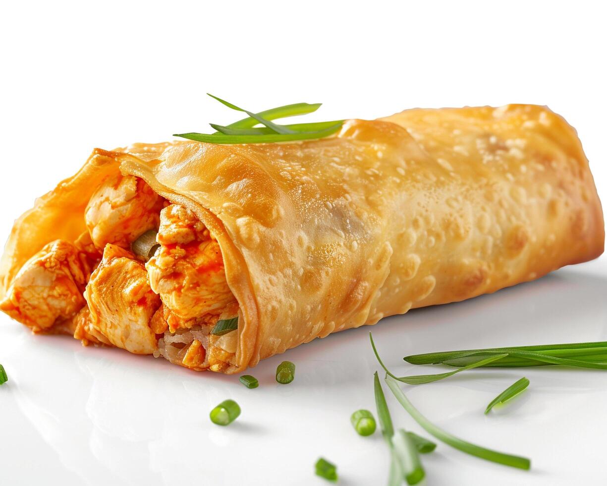 a chicken and vegetable roll on a plate photo