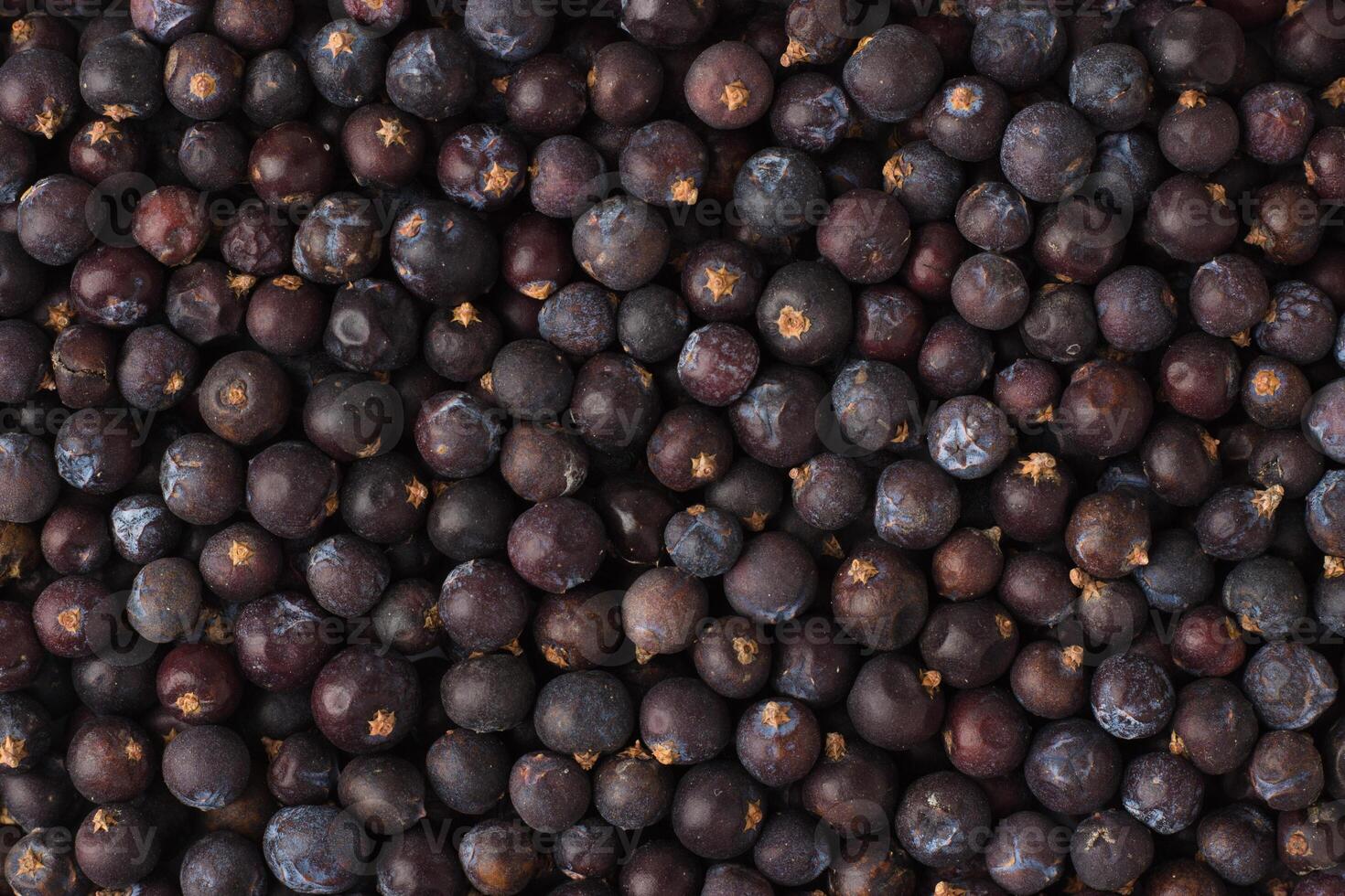 dried juniper berries spice as a background, natural seasoning texture photo