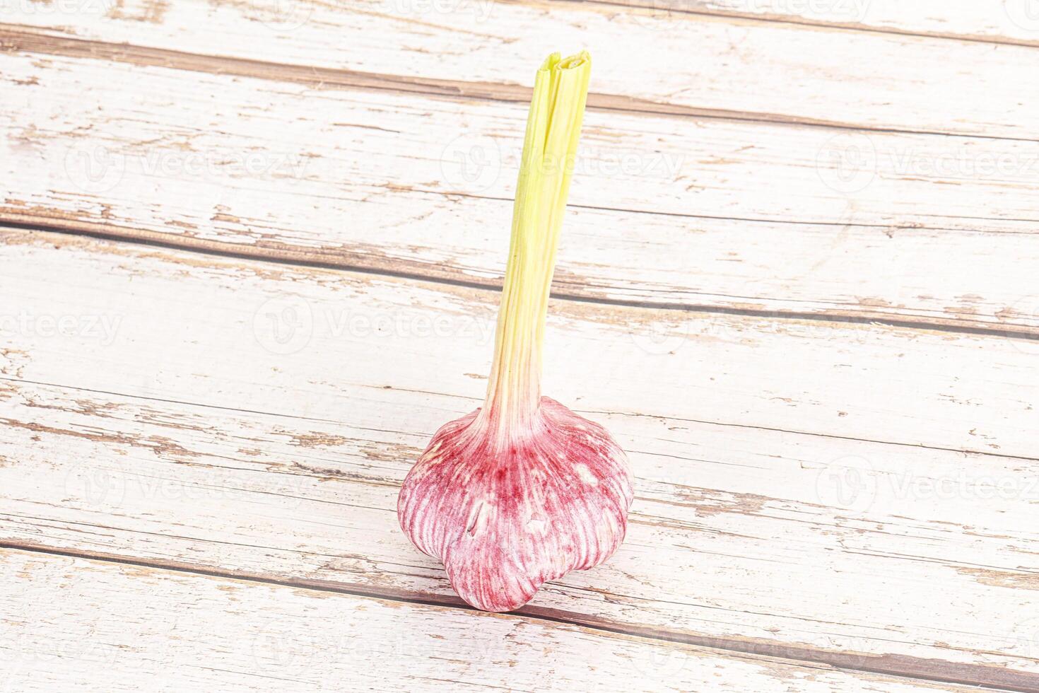 Young fresh garlic for cooking photo