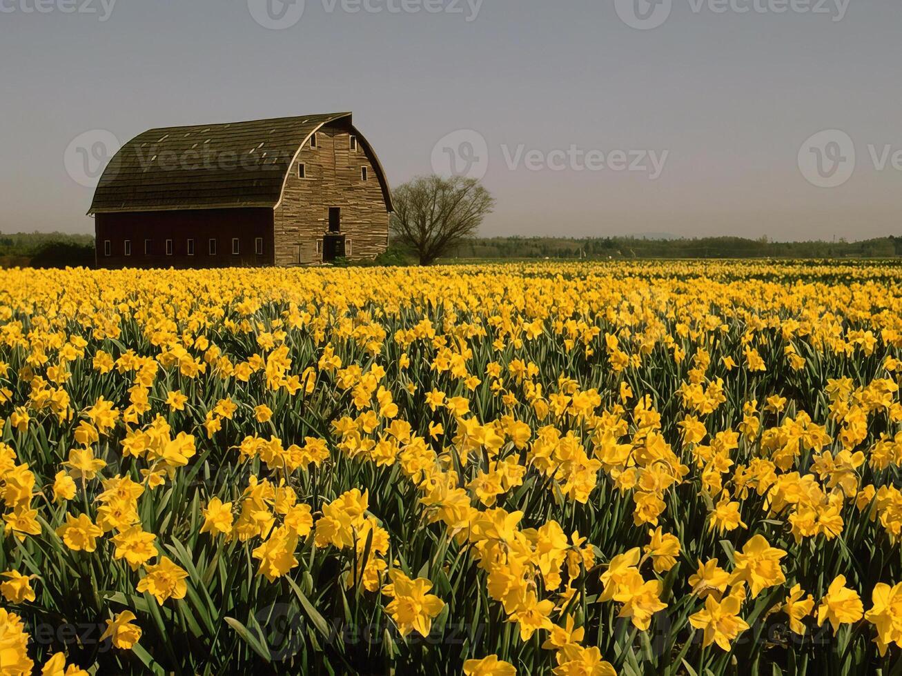 Garden background. Spring or summer gardening with plants and flowers photo