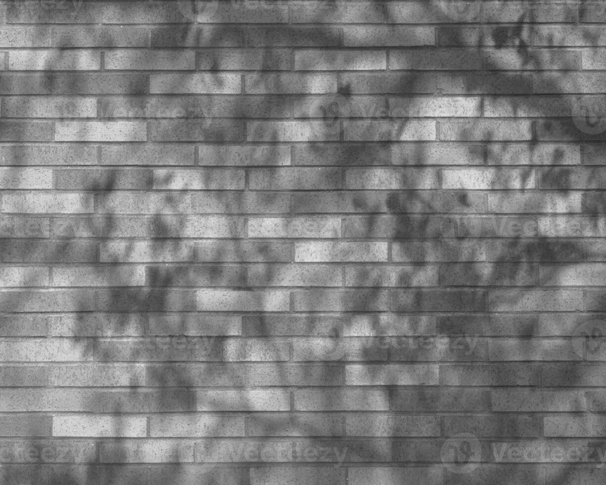 Abstract black and white photo background close view. Natural pattern surface