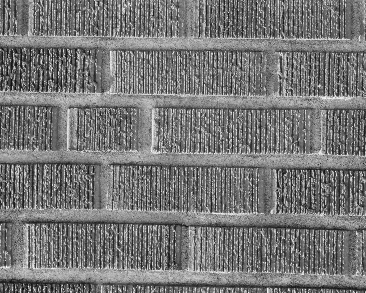 Abstract black and white photo background close view. Natural pattern surface