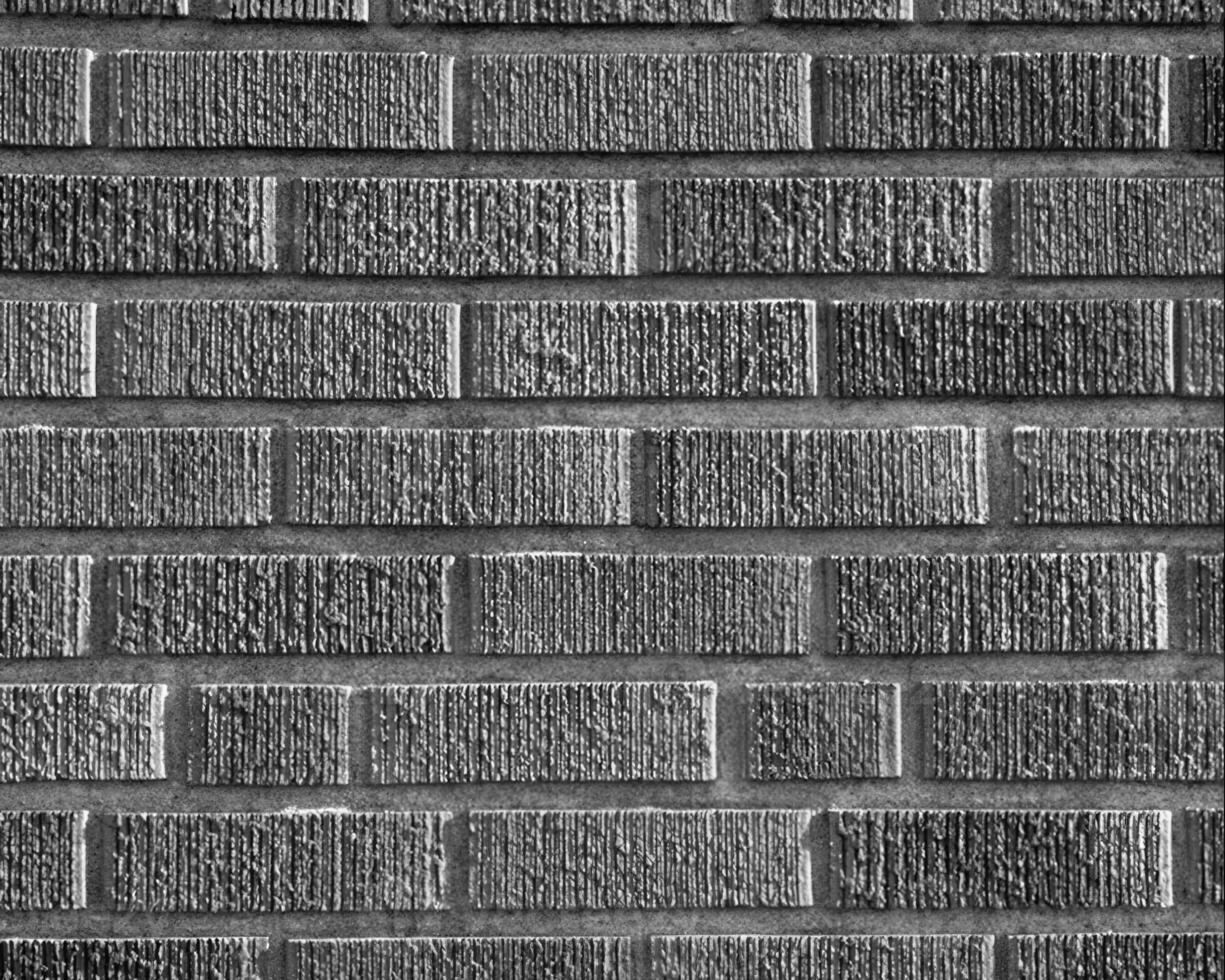 Abstract black and white photo background close view. Natural pattern surface