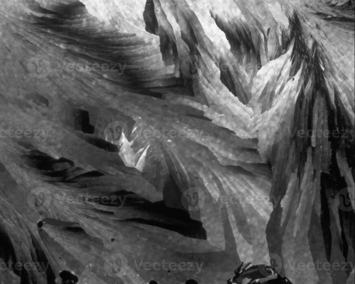Abstract black and white photo background close view. Natural pattern surface