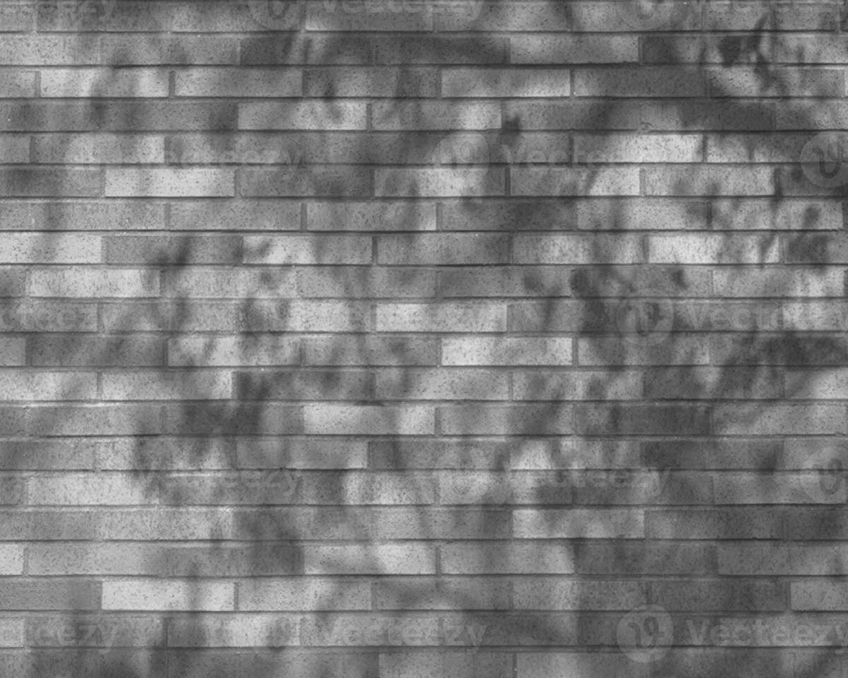 Abstract black and white photo background close view. Natural pattern surface