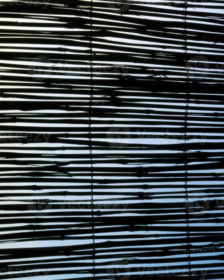 Abstract background close view. Natural pattern surface photo
