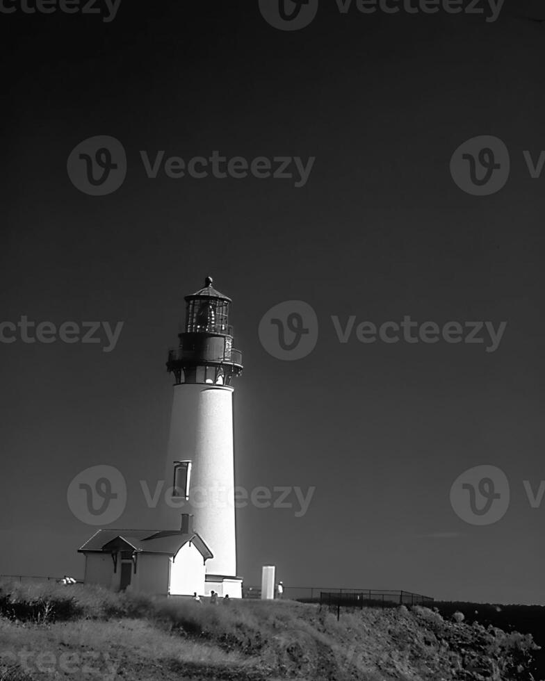 Landscape background. Black and white photo of beautiful nature