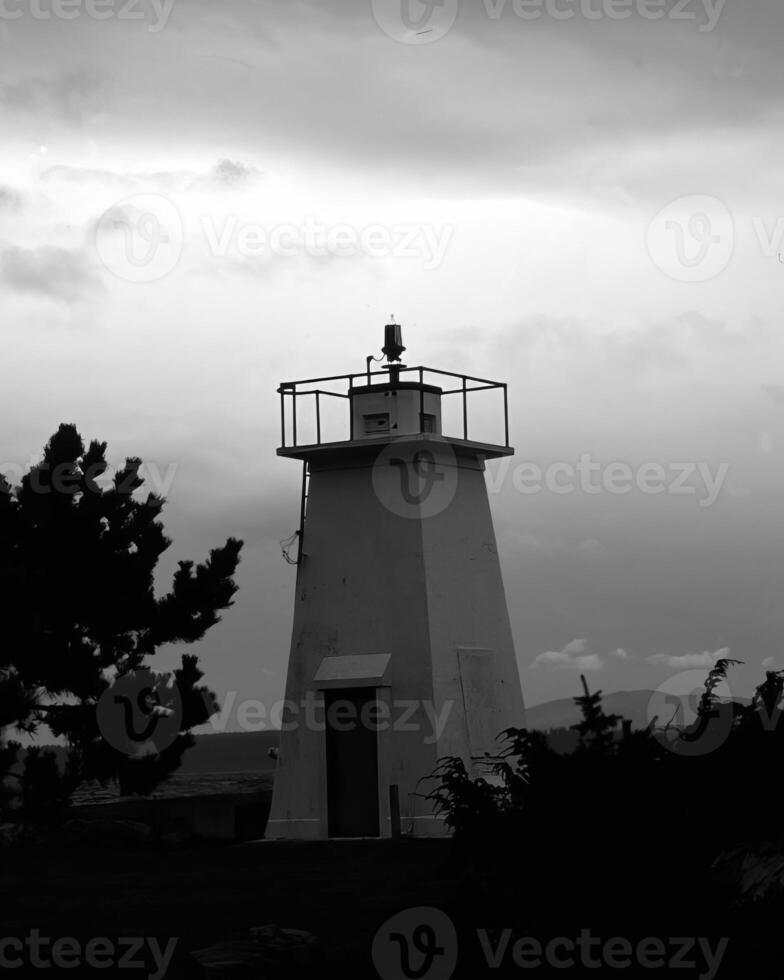 Landscape background. Black and white photo of beautiful nature