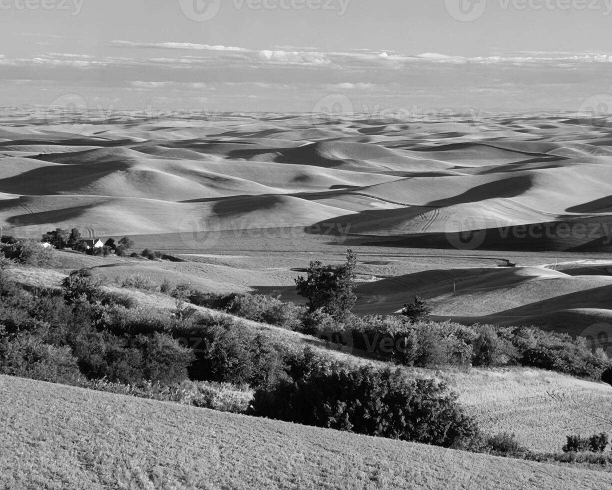 Landscape background. Black and white photo of beautiful nature