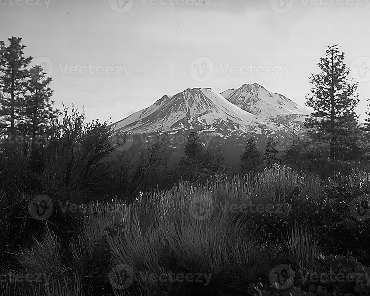 Landscape background. Black and white photo of beautiful nature