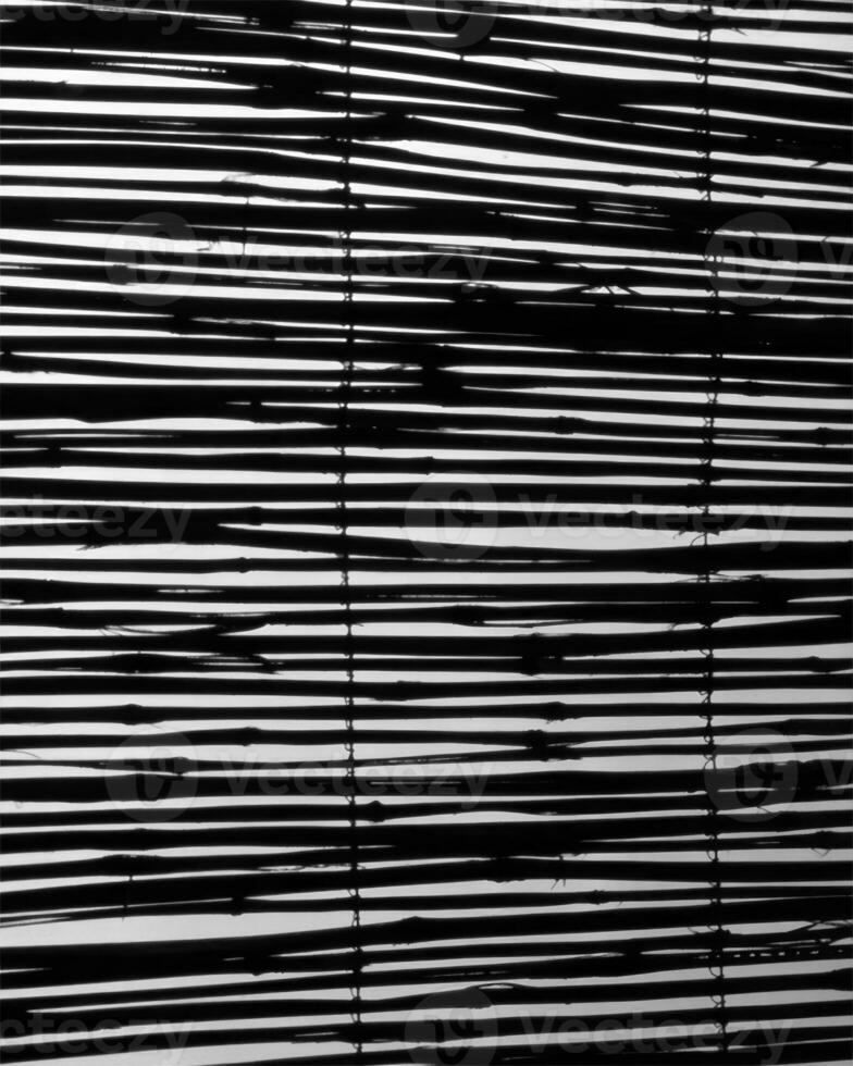 Abstract black and white photo background close view. Natural pattern surface