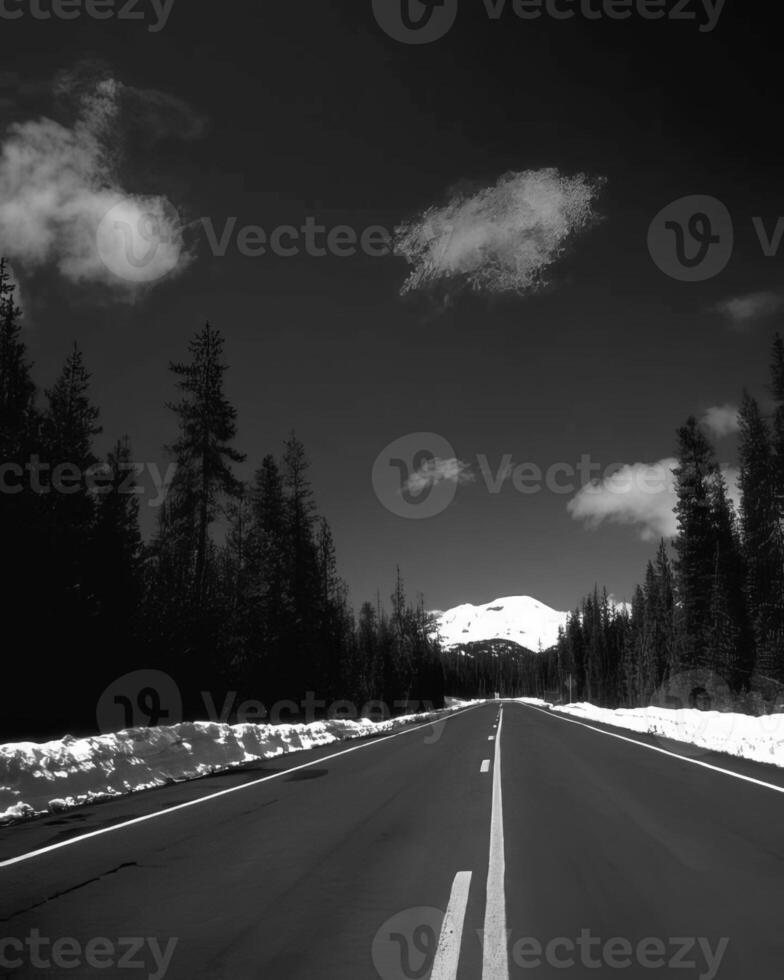 Landscape background. Black and white photo of beautiful nature