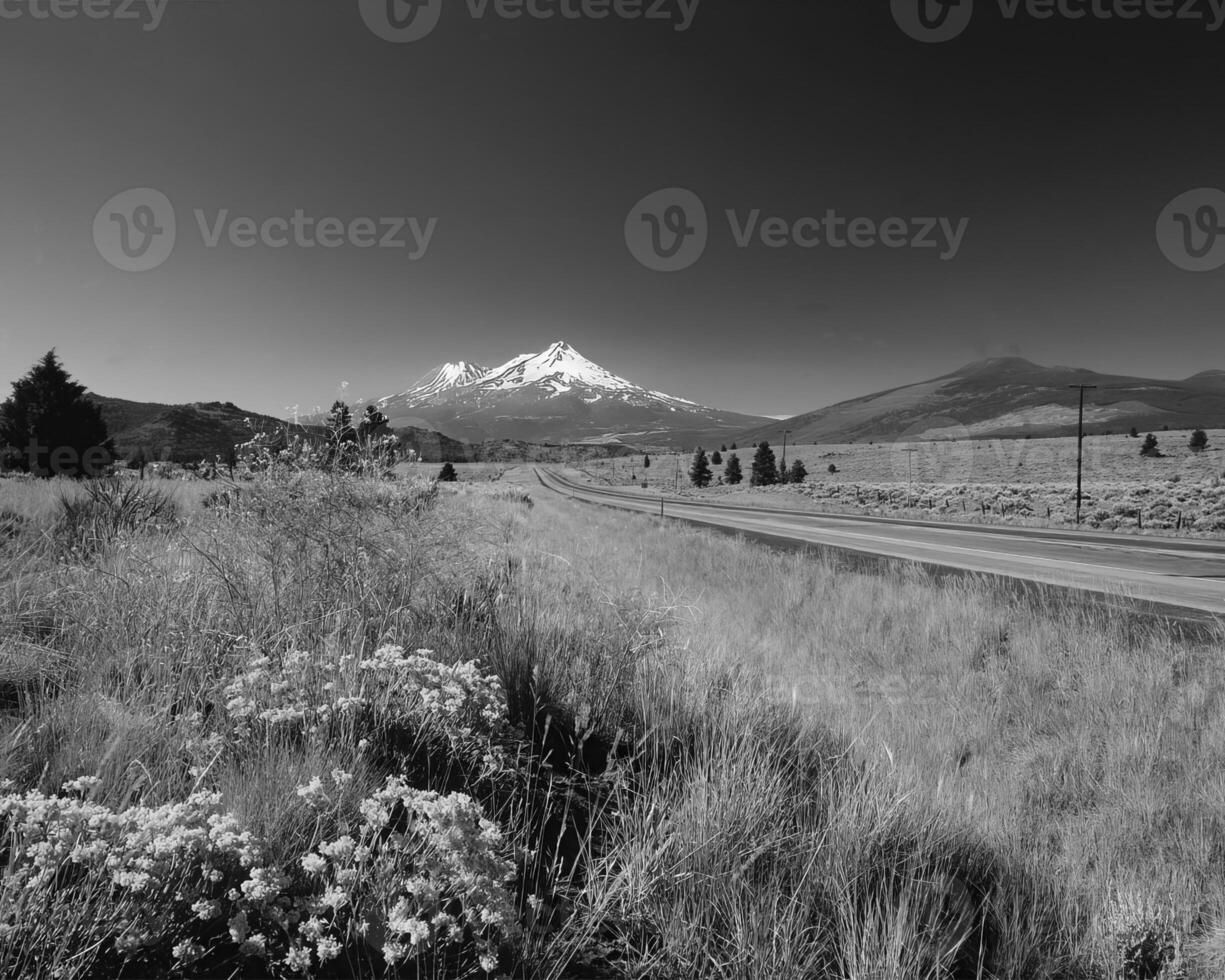 Landscape background. Black and white photo of beautiful nature