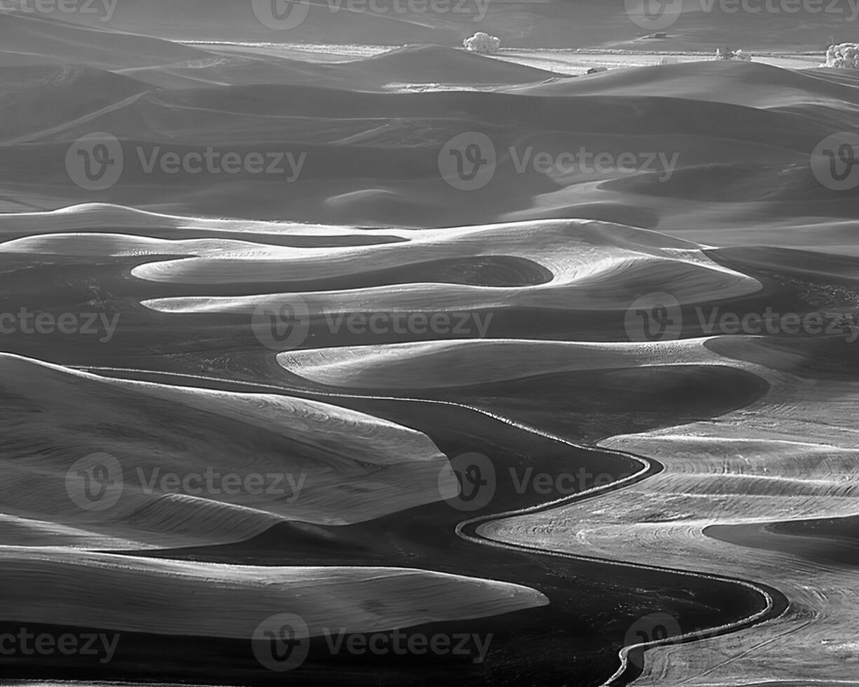 Landscape background. Black and white photo of beautiful nature