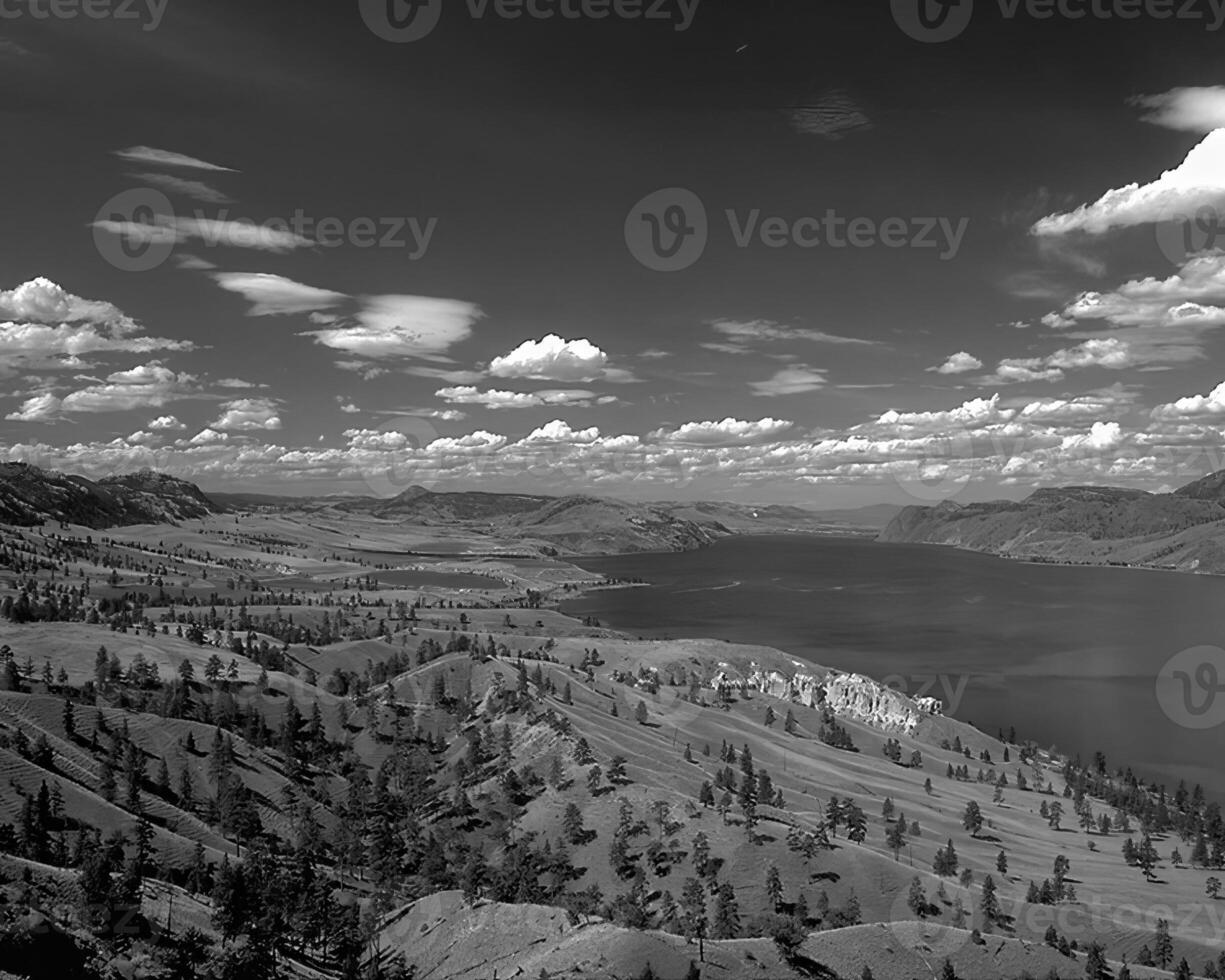 Landscape background. Black and white photo of beautiful nature