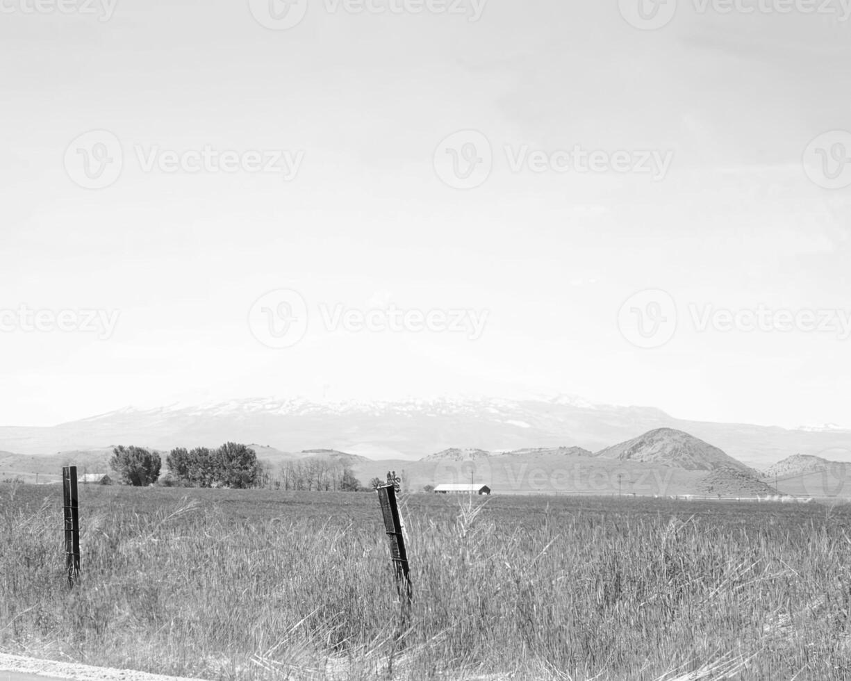 Landscape background. Black and white photo of beautiful nature