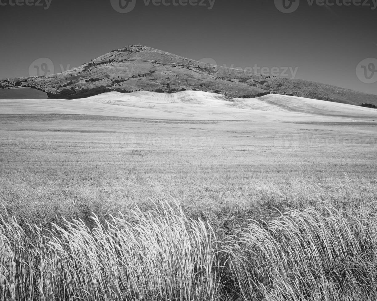 Landscape background. Black and white photo of beautiful nature
