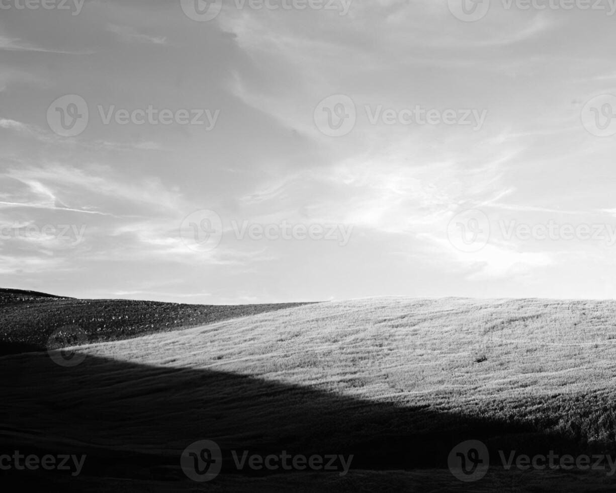 Landscape background. Black and white photo of beautiful nature