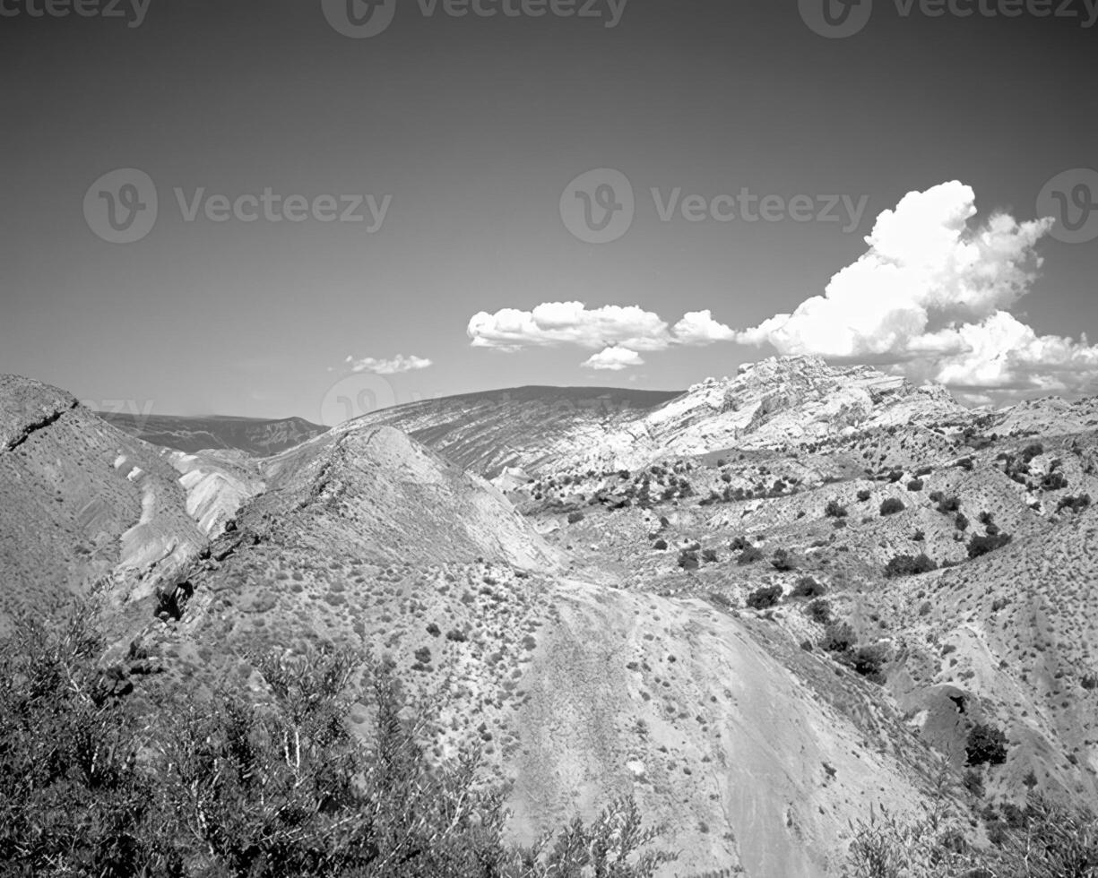 Landscape background. Black and white photo of beautiful nature